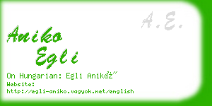 aniko egli business card